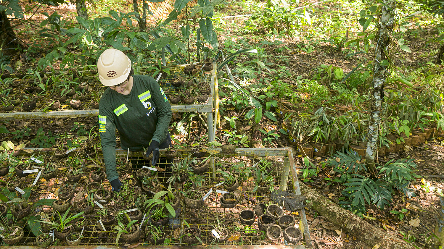 Recuperação de áreas mineradas